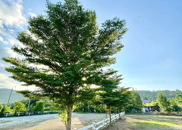 ที่ตั้งแคมป์ Mountain *